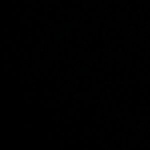 Meet your Posher, Stella